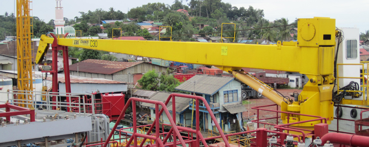 fixed boom pedestal mounted crane
